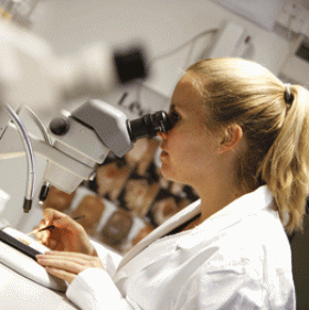 Photograph of researcher using a microscope