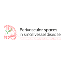 Perivascular Spaces in Small Vessel Disease Network logo