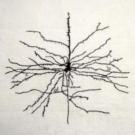 Embroidery of a Cajal illustration of a single neuron