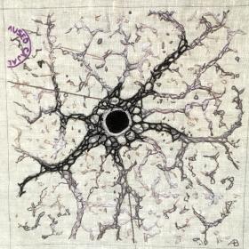 Embroidery of a Cajal illustration of an astrocyte