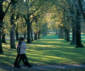 Photograph of The Meadows in Edinburgh