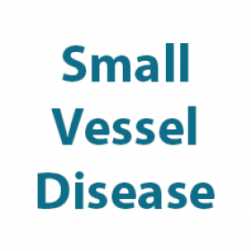 Small Vessel Disease logo